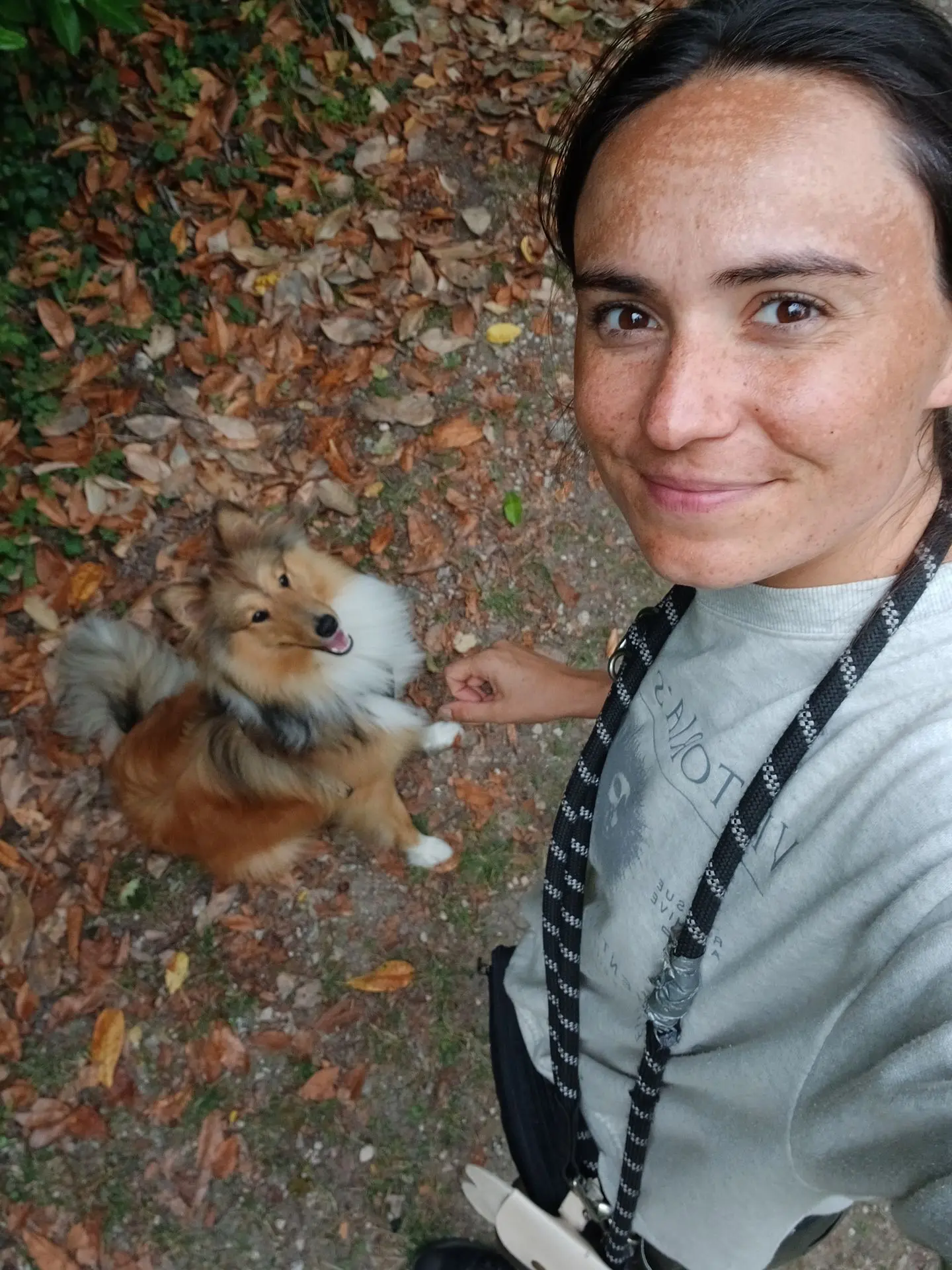 Selfie chien promenade