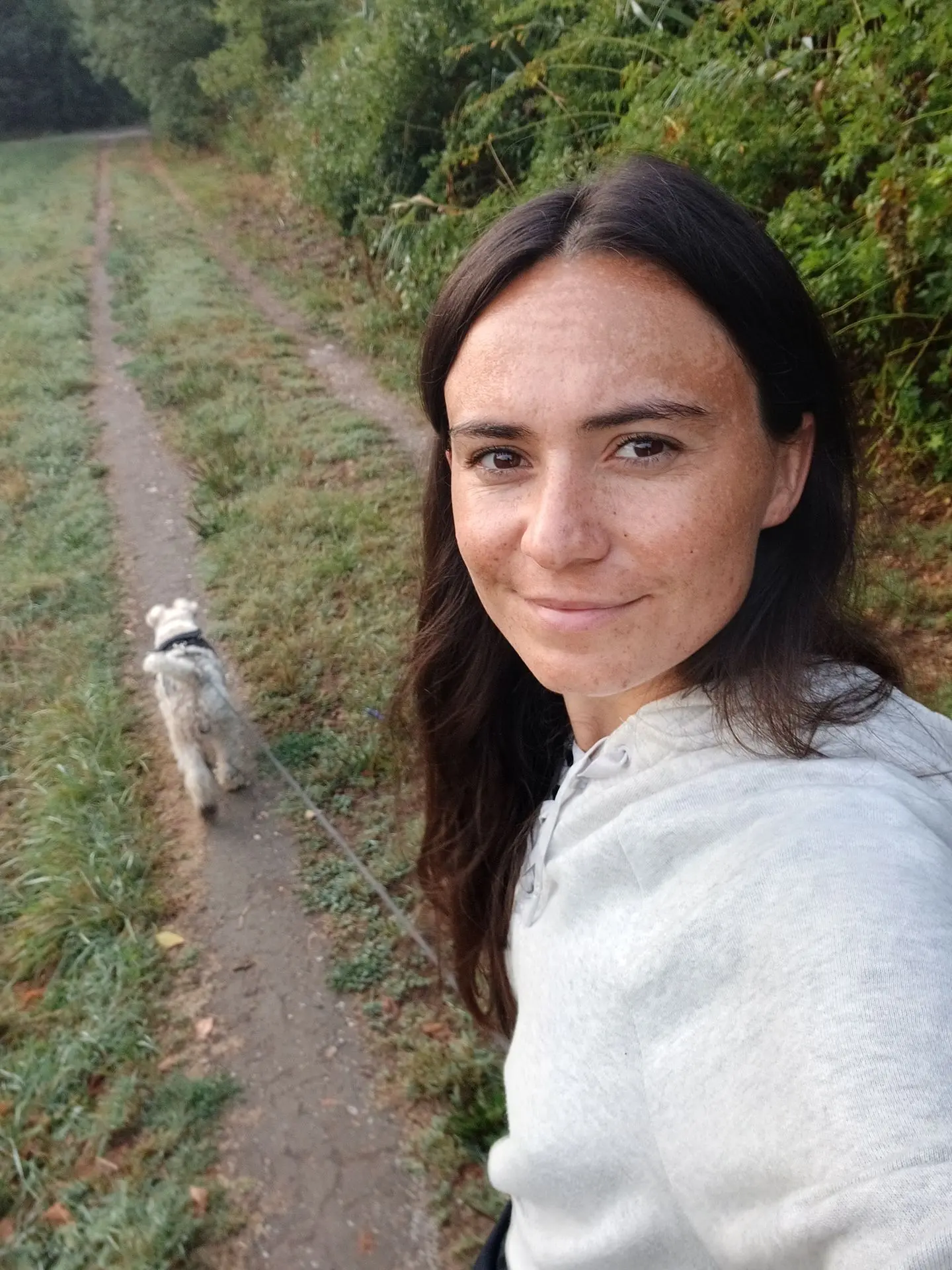 Chien promenade Tarn