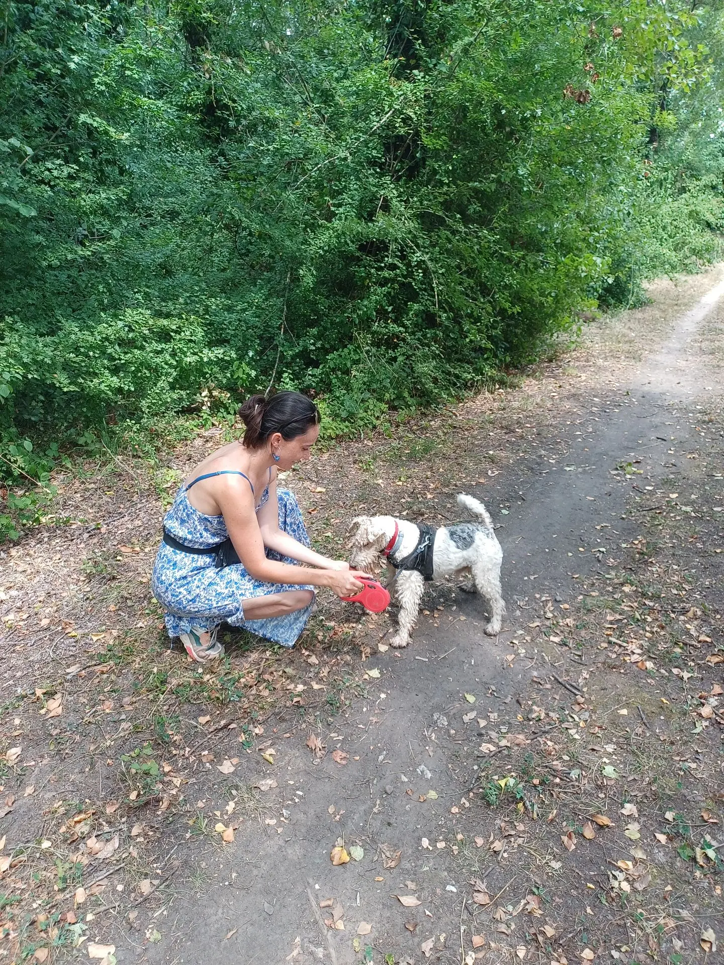Câlin avec un chien